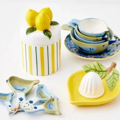 Zesty Ceramic Citrus Juicer